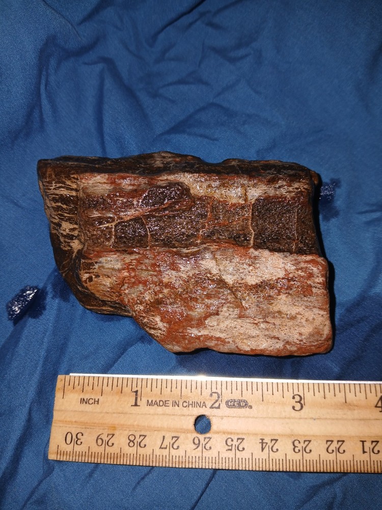 11 oz Petrified Wood