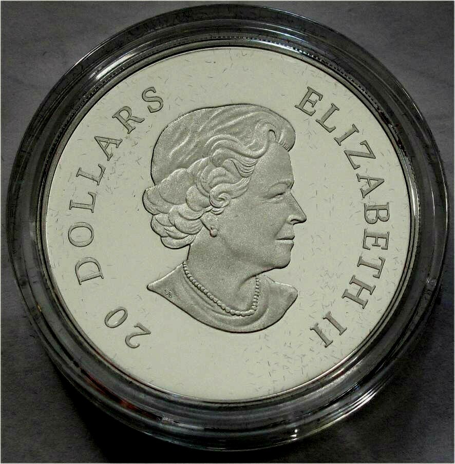 2008 CANADA SILVER 20 DOLLARS SNOWFLAKE AMETHYST
