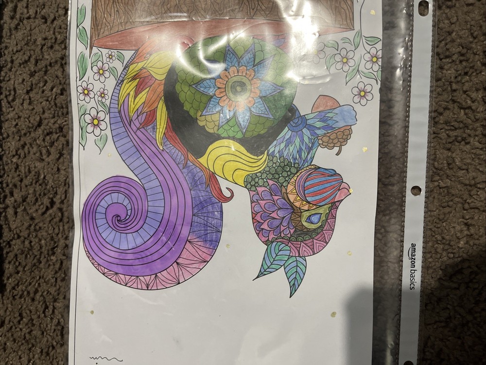 Exotic Squirrel