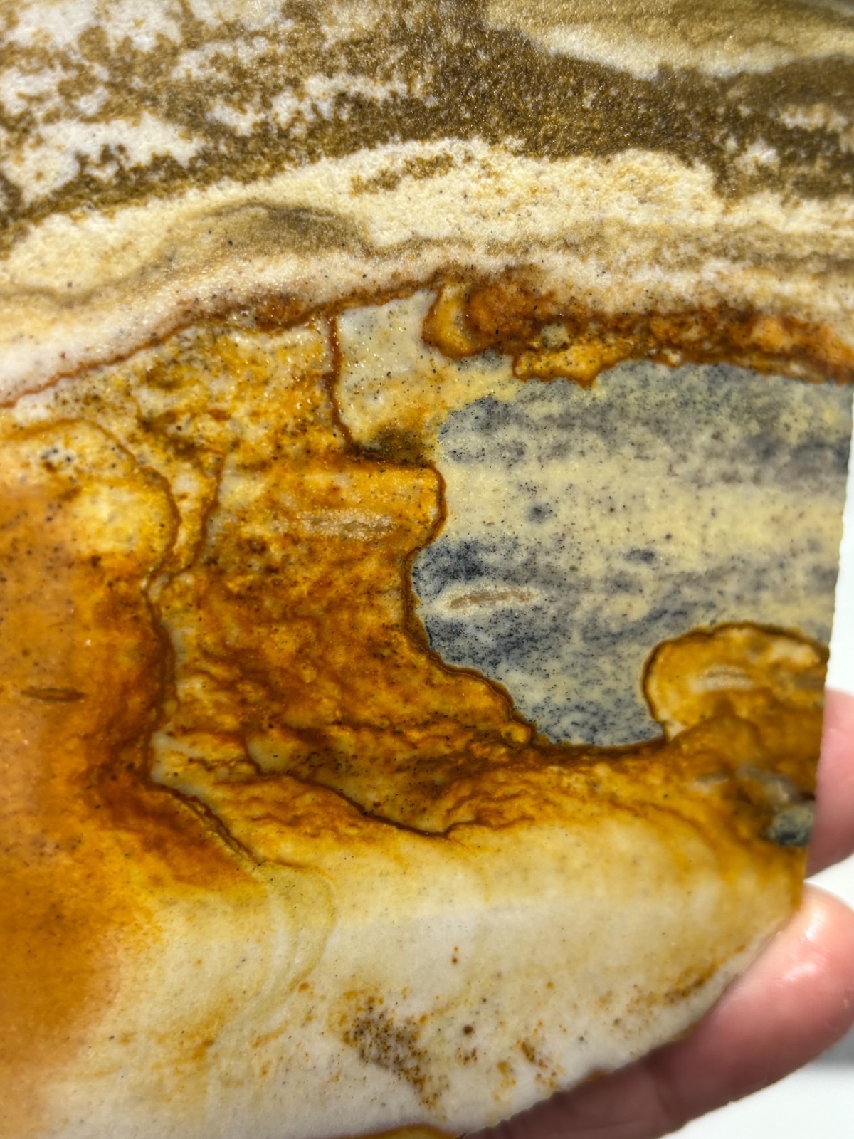 Disaster Peak Picture Jasper Slab Cabbing Lapidary Collecting Combo Ship Avail