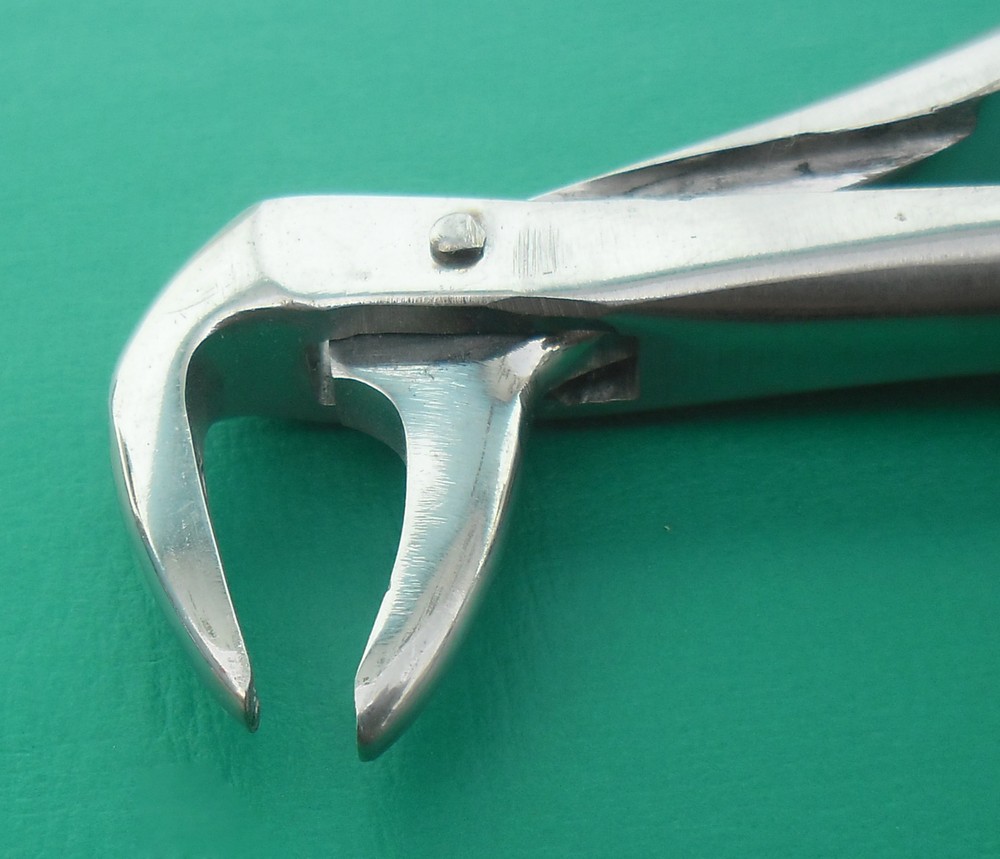 Tooth Extracting Forceps # 143 Surgical Dental Instruments