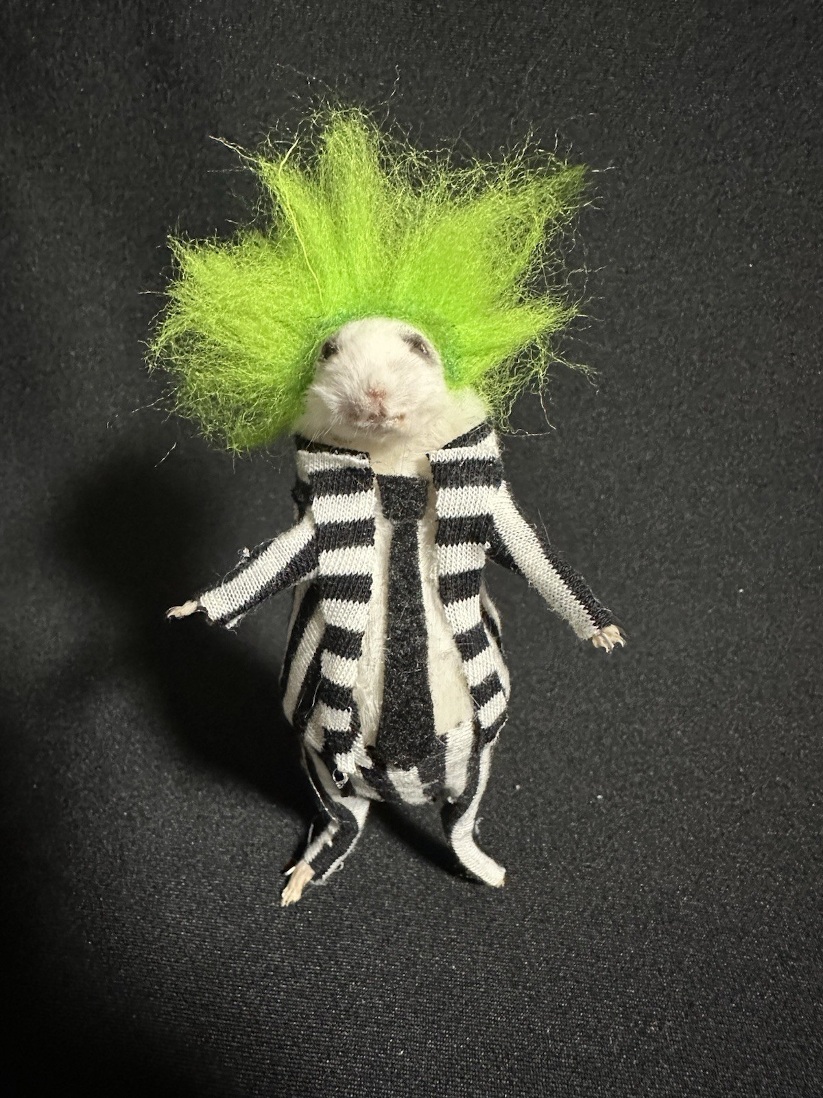 Taxidermy Mouse Beetlejuice Mouse Oddities Curiosities Taxidermy Art