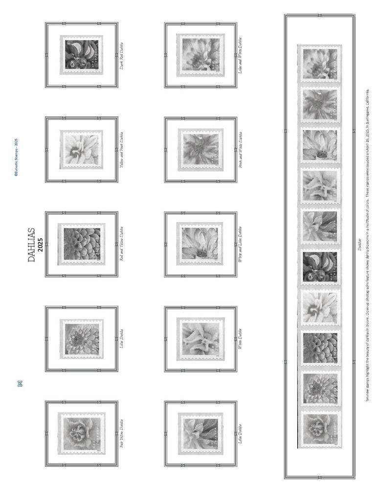 2025 U.S. Regular Issue Singles COMPLETE Supplement (White Ace Alternative)