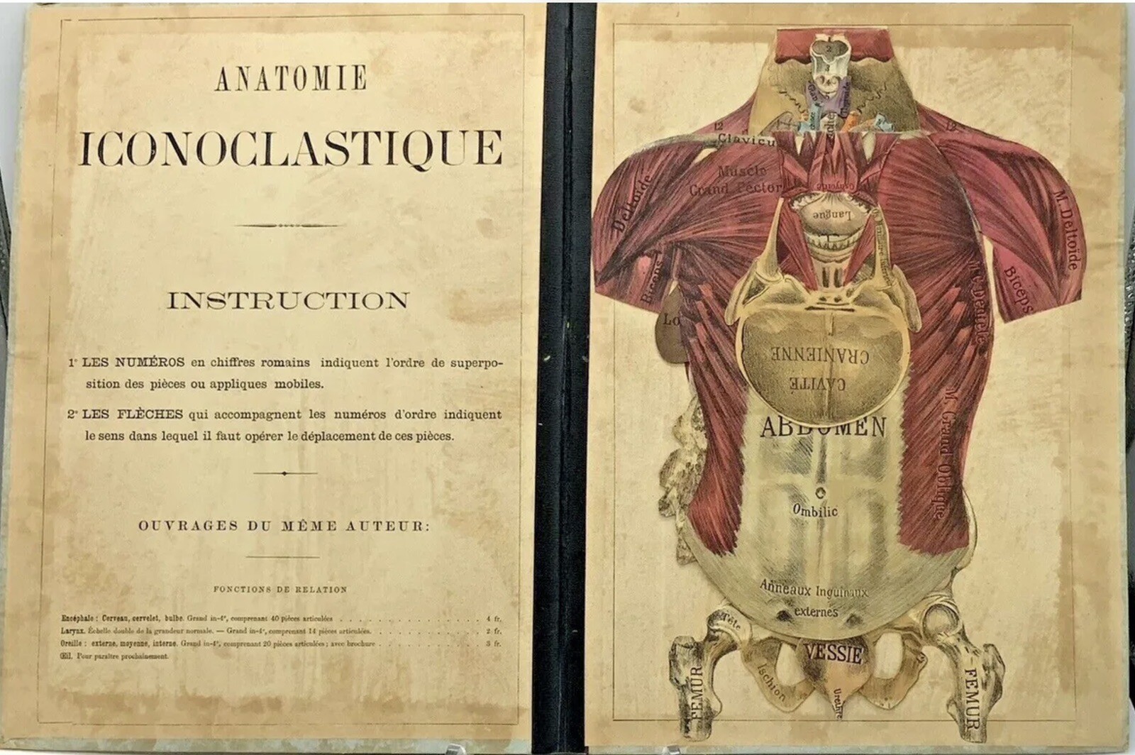French Medical Human Anatomy Diagram Pop-up Book c 1875, G.J. Witkoski, Rare