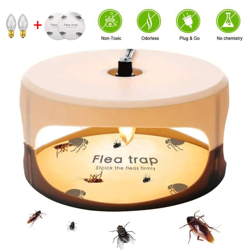 1/2pcs Sticky Flea Trap Flea Bed Bug Trap Killer Pad With Glue Discs Indoor