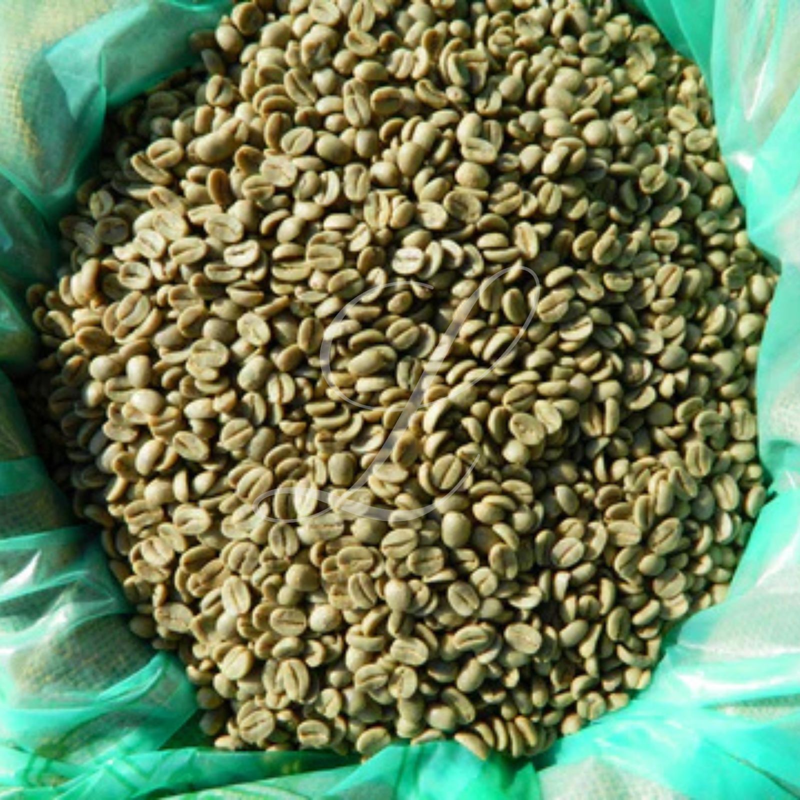 100% Kona Extra Fancy Coffee, 5 lbs, Green Beans or Medium Roasted to Order!