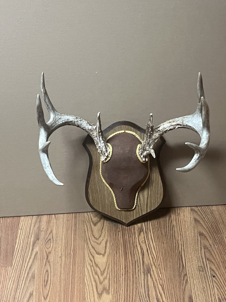 Deer Rack
