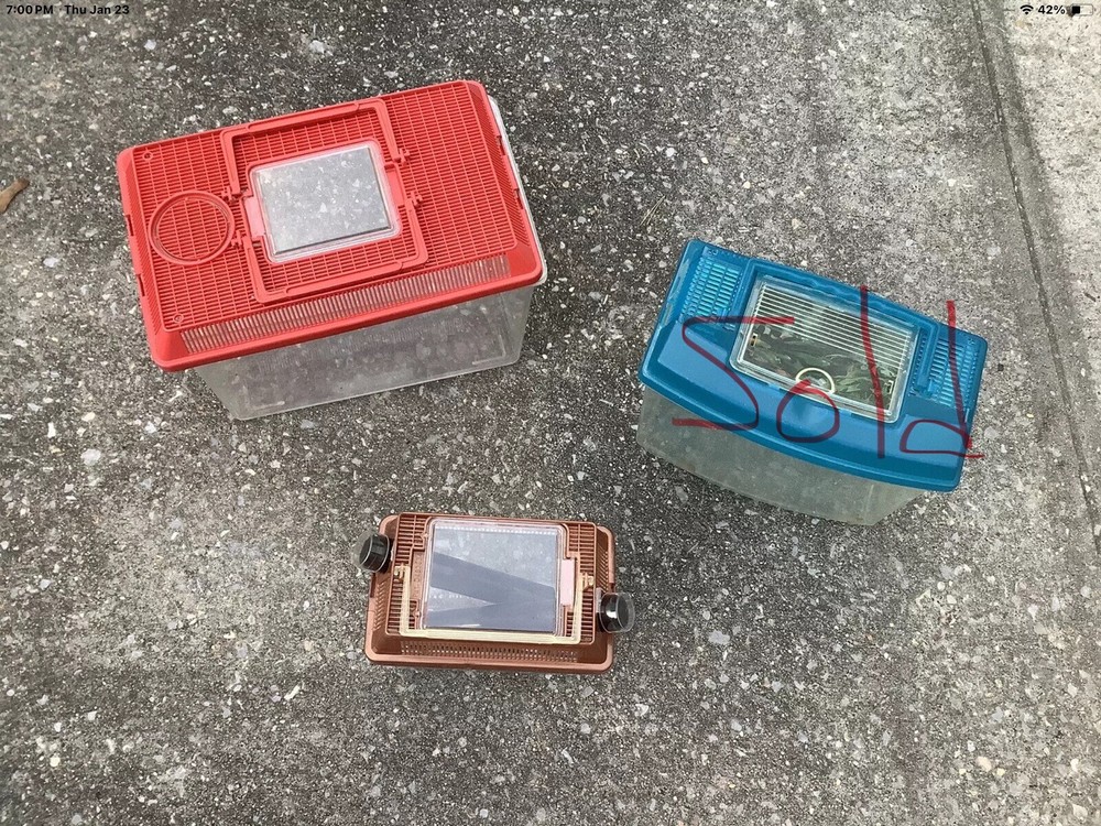 Small Animal/ Insect/ Bug & Reptile Containers