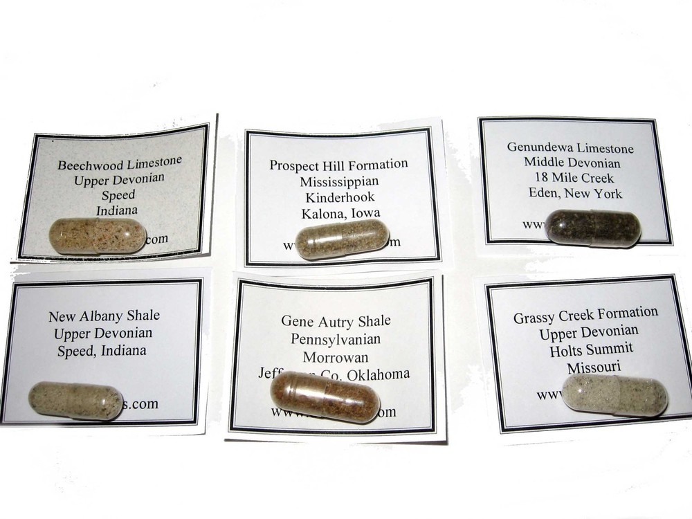 Devonian to Pennsylvanian conodonts microfossil matrix collection 6 conodont