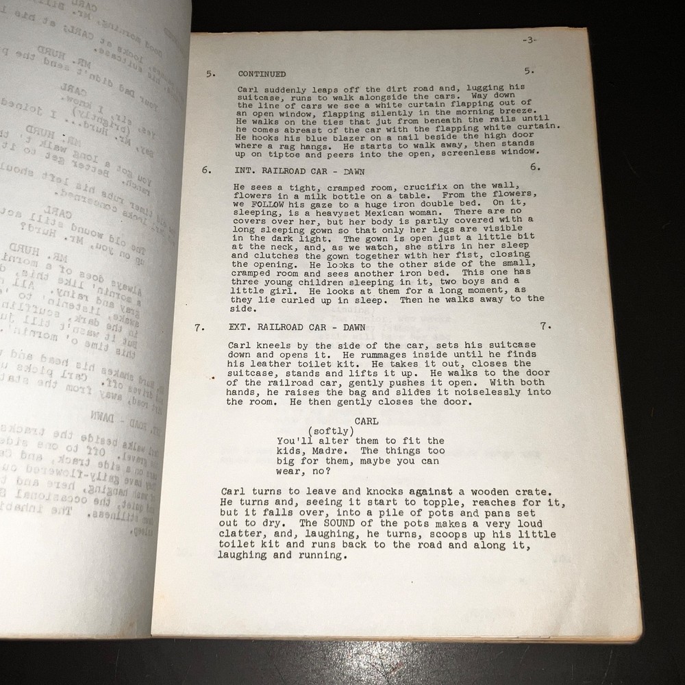 "HAIL, HERO!" (1969) Michael Douglas Debut / Dog Trainer Script w/Notes + COA!