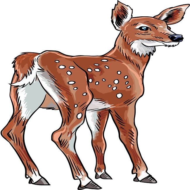 30 Custom Cute Deer Art Personalized Address Labels