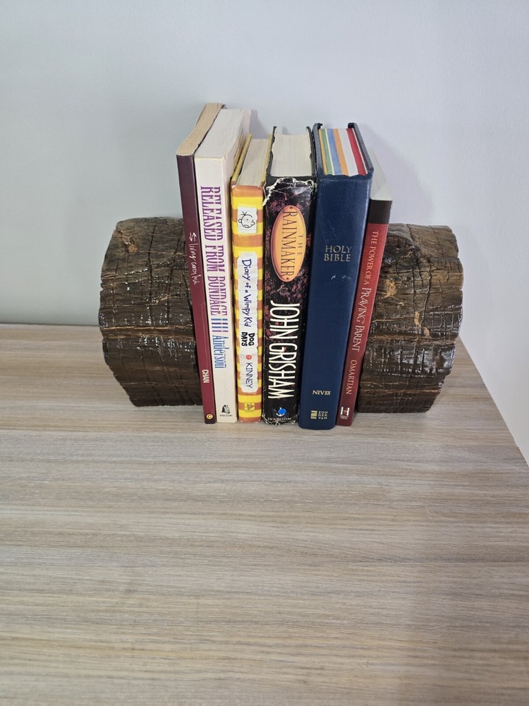 Petrified Wood Book Ends Glossed