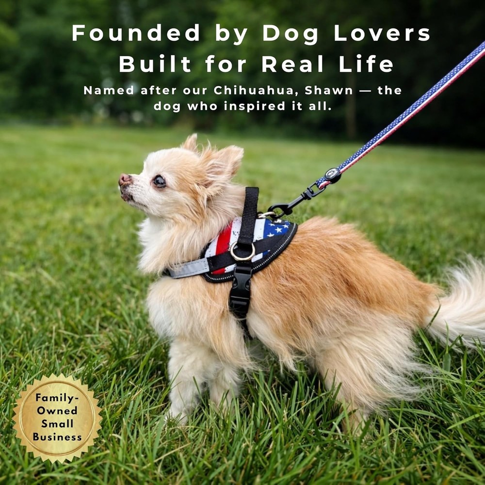 No-Pull Harness for Dogs - Adjustable, Reflective, Medium, Pacific Blue