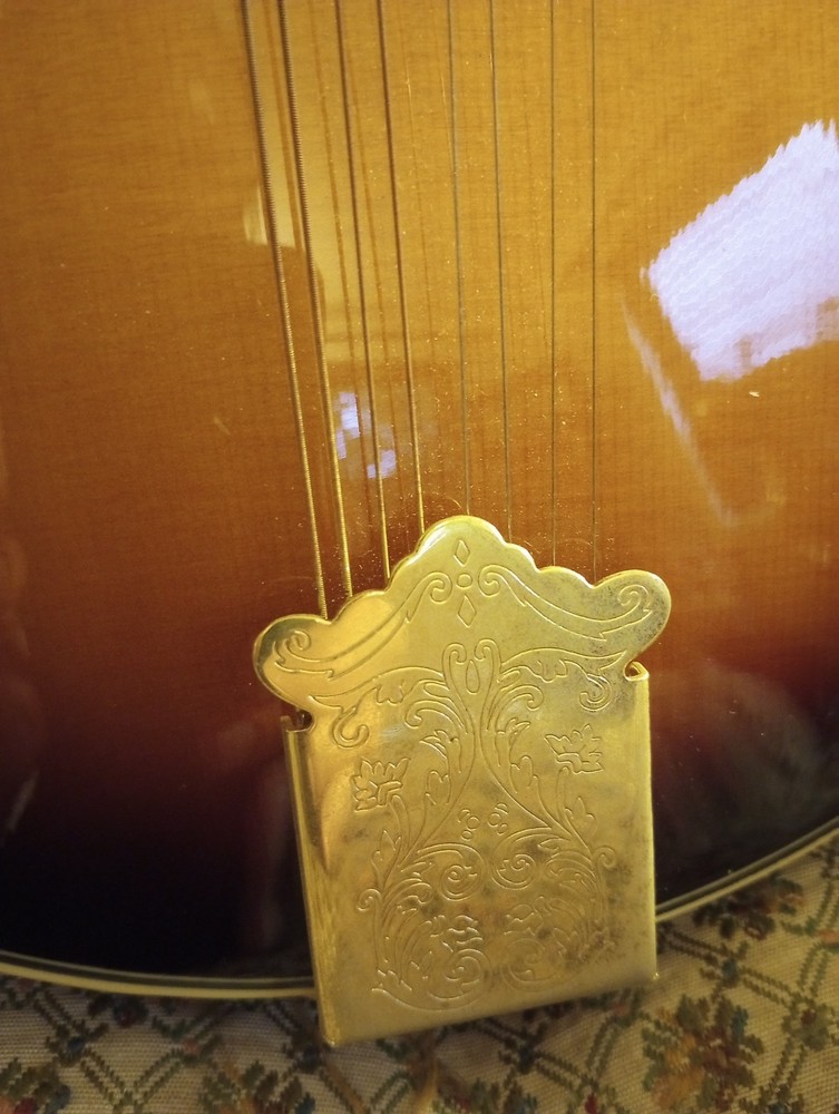 Fender FM-53S SB Mandolin - Solid Spruce Top - Sunburst - TKL Case Included