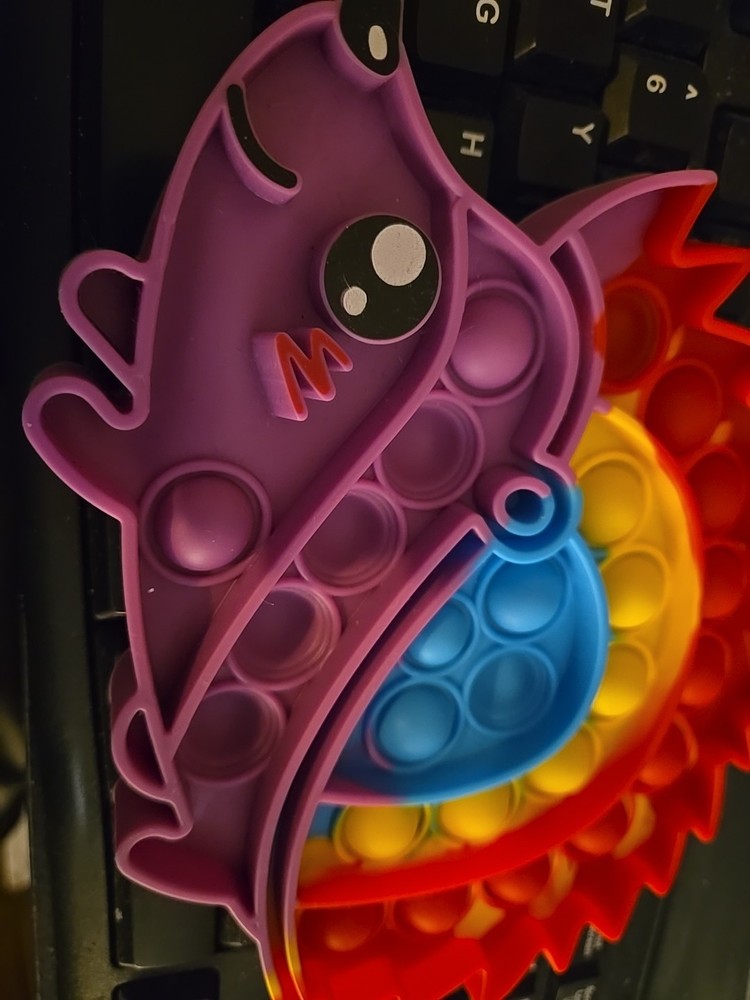 Pop it fidget toy, Rainbow Possum. Sensory