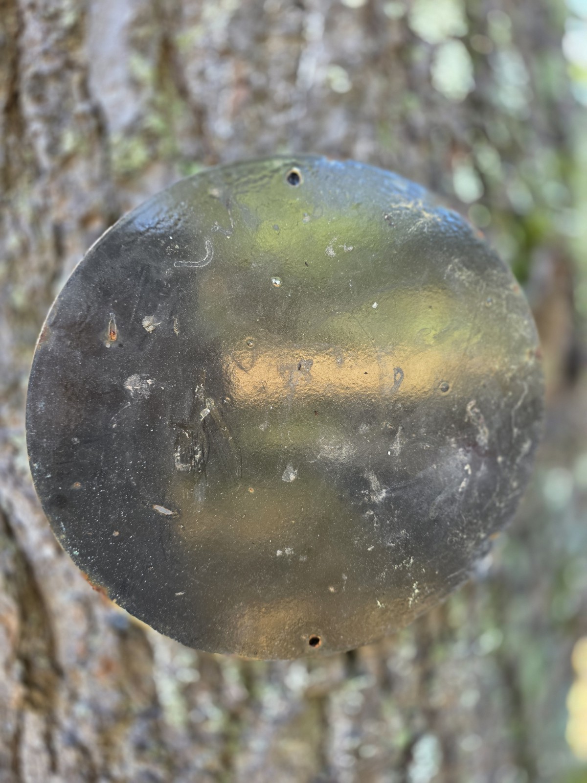 VINTAGE RARE SINCLAIR GASOLINE PORCELAIN SIGN 10"