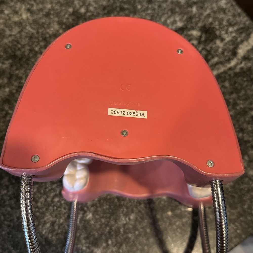 Dental Teeth Model Teaching Study Tool Mouth Large 6” Anatomical Full Set