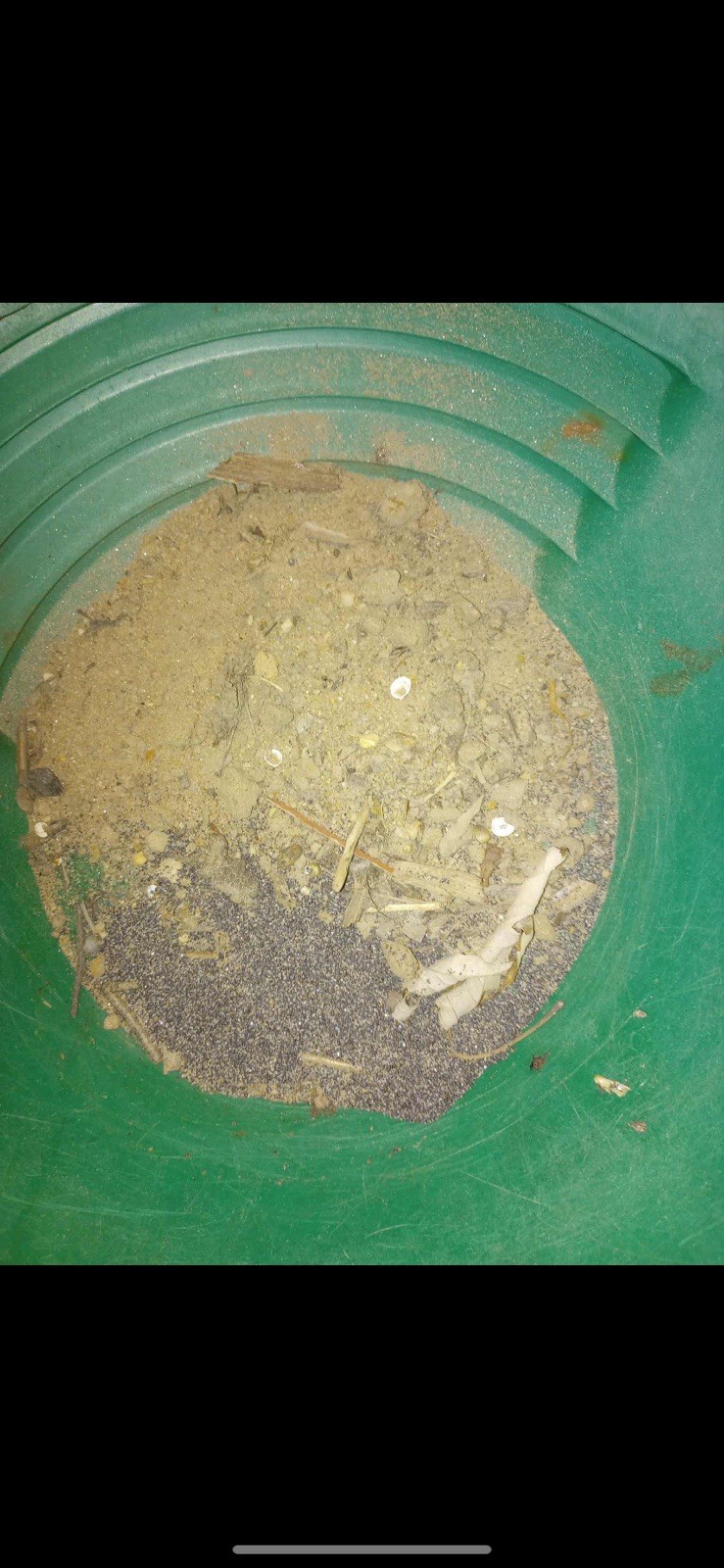 Georgia Gold Panning Paydirt