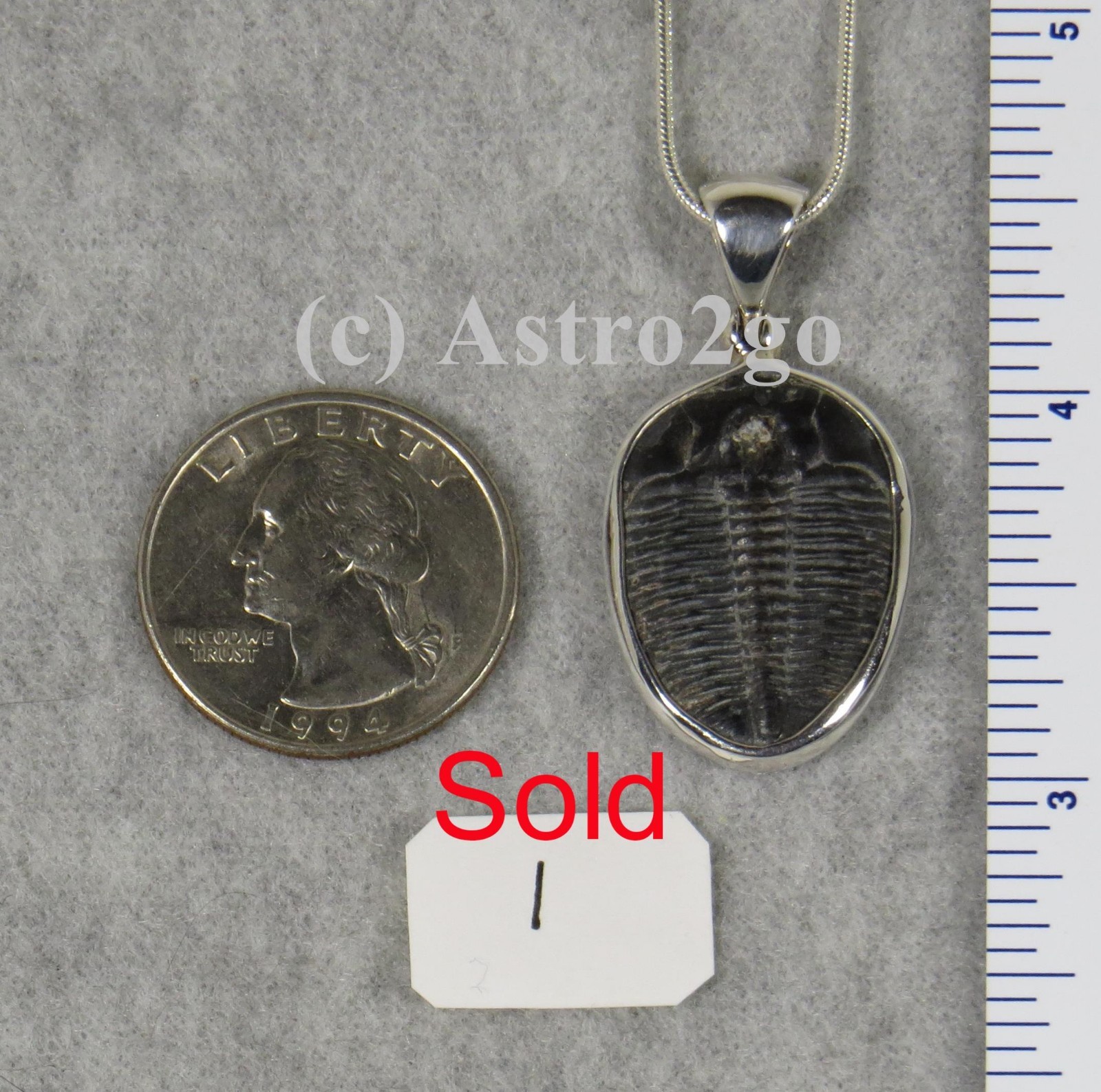 Elrathia Kingii TRILOBITE PENDANT $55 Sterling Silver Jewelry STARBORN CREATIONS