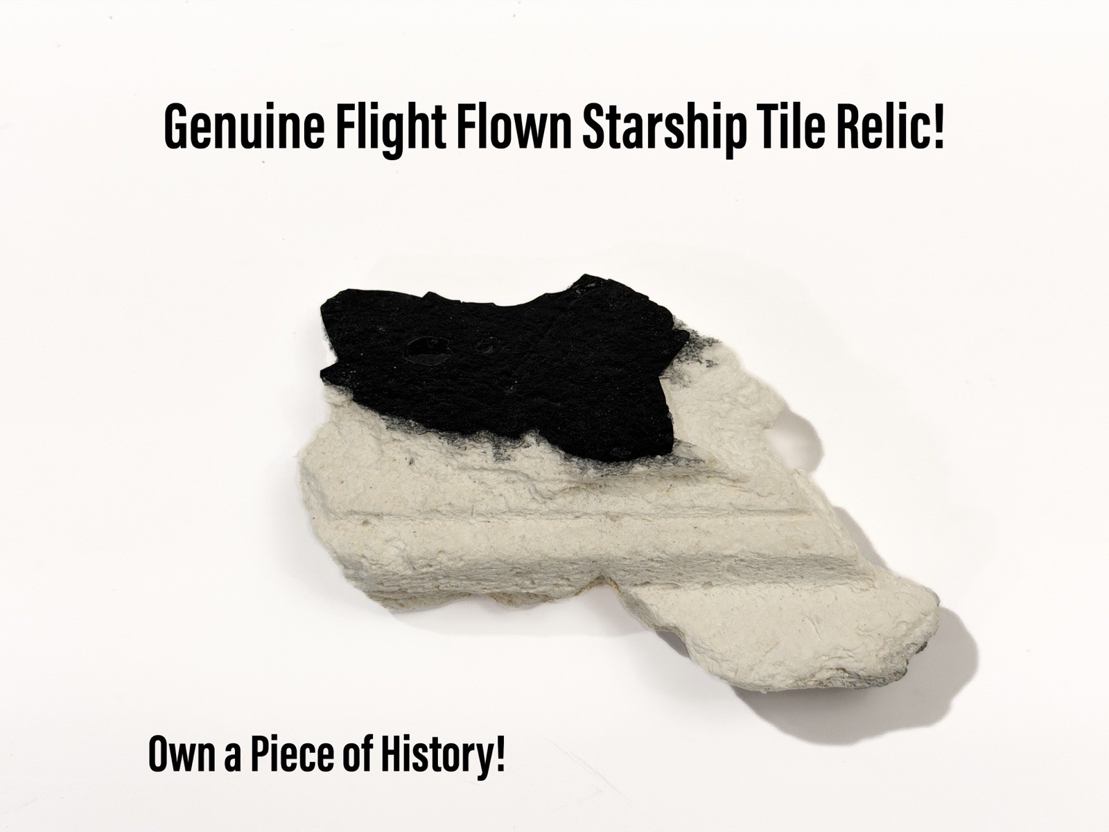 Space X Starship Flight 1 Heat Shield Tile Historic IFT-1 SN24 Set (Lg)