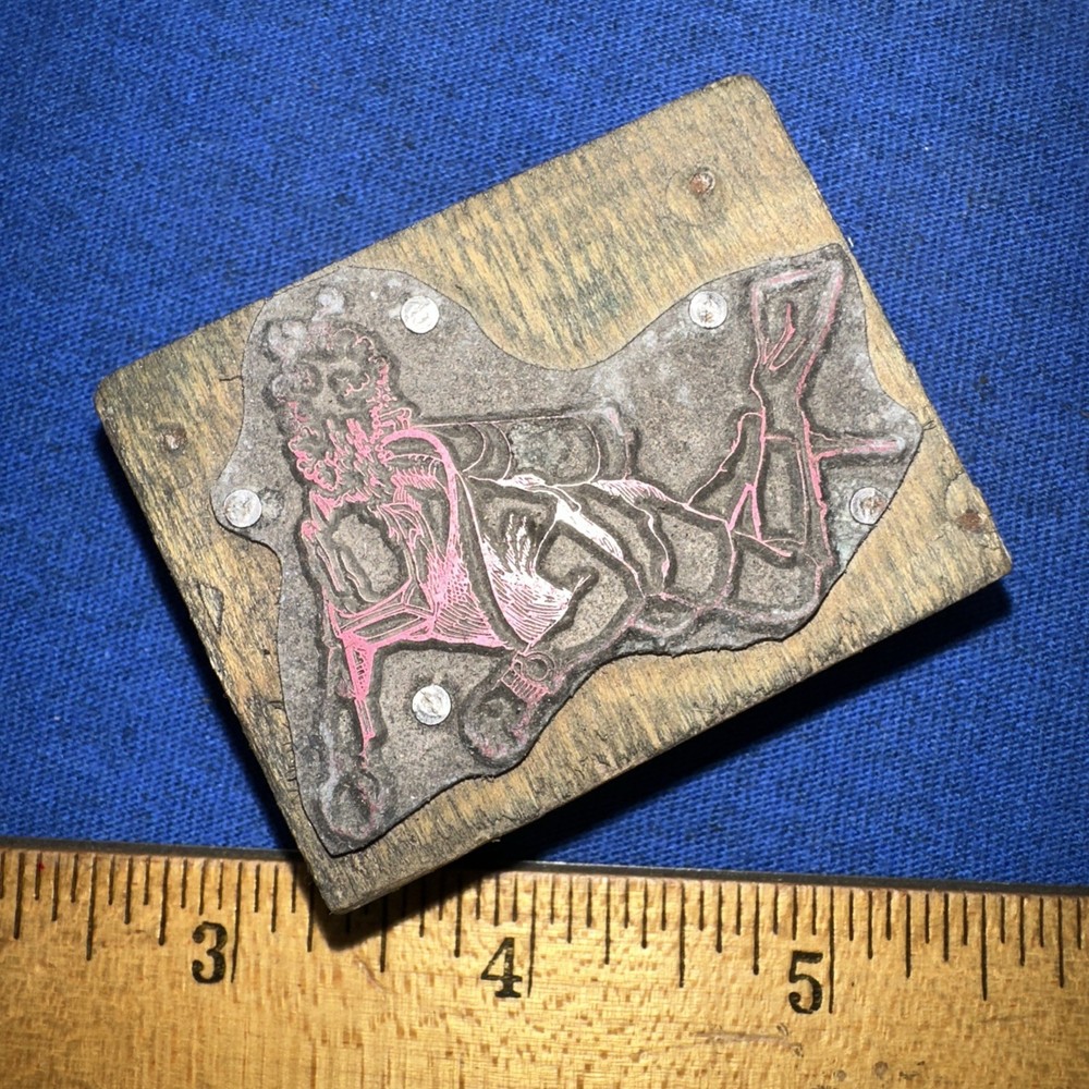 Print Block ( Scuba Diver?? ) Unknown Image￼