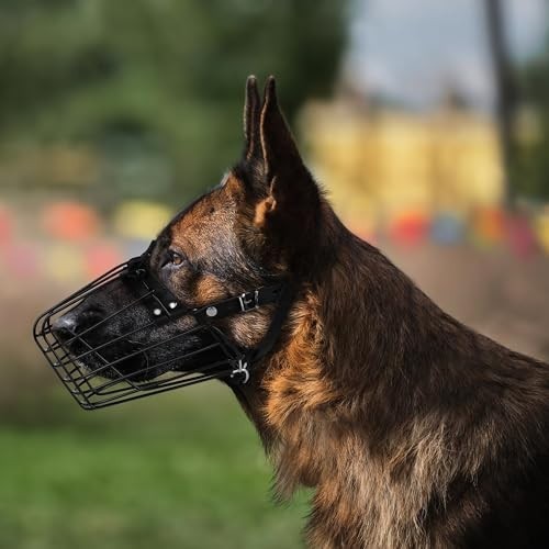 Adjustable Metal Basket Muzzle for Medium Large Dogs - Durable Leather Straps, S