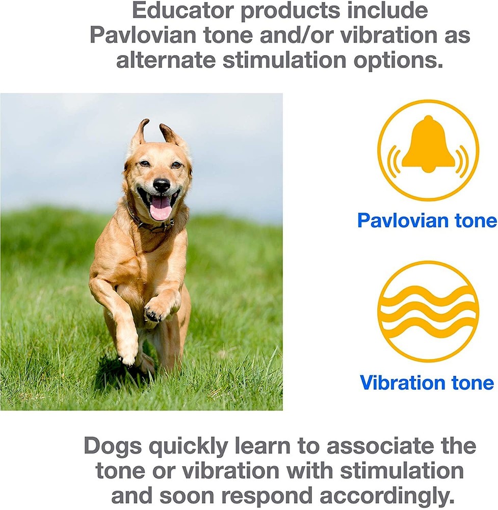 E-Collar Technologies UL-1200/1202 Replacement Transmitter ONLY