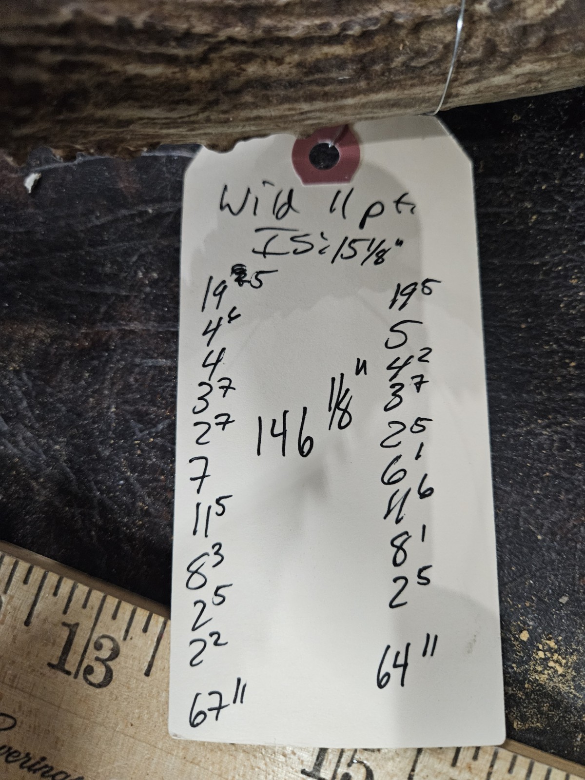 Wild 11 Point Whitetail Deer Antler Rack Horn Skull Plate Decor Man Cave 146"