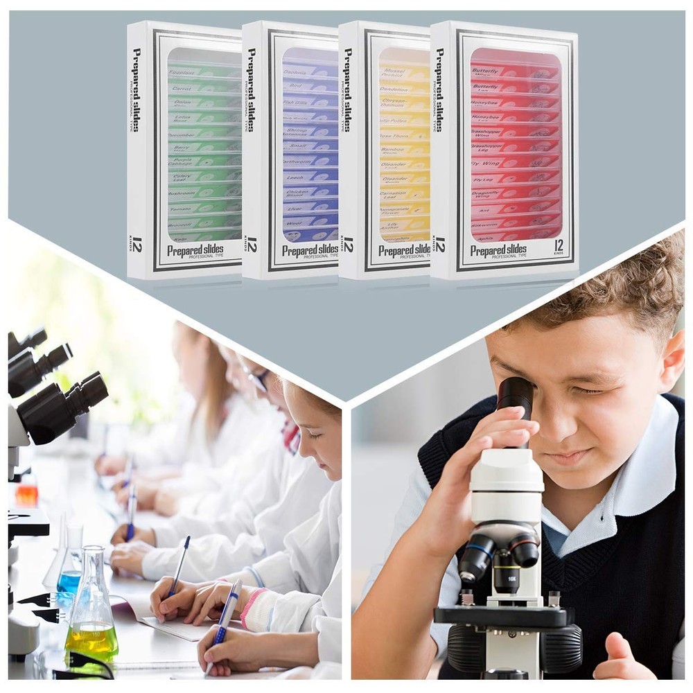Explore Nature with 48pcs Prepared Plastic Microscope Slides for Children