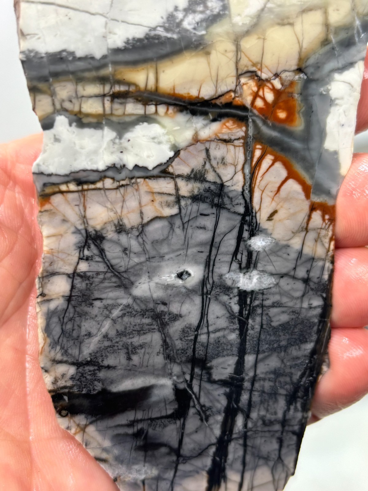 Picasso Marble (Jasper) end Slab Cabbing Lapidary Utah Combo Ship Avail