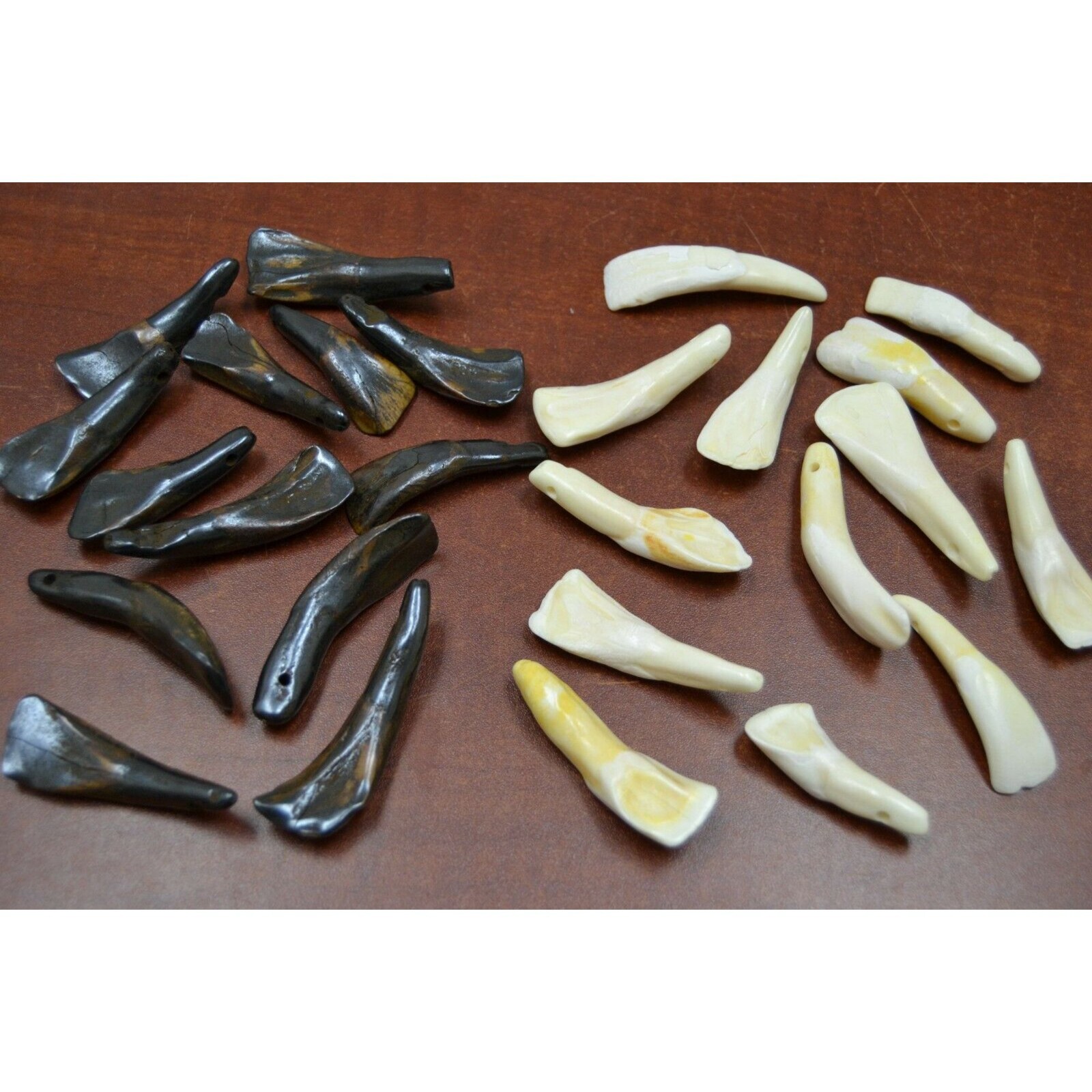 100 DRILLED GENUINE WHITE & BROWN BUFFALO TEETH TOOTH BEADS PENDANTS