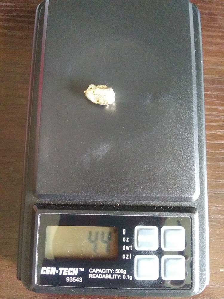 9.0g Gold - 3 Nuggets