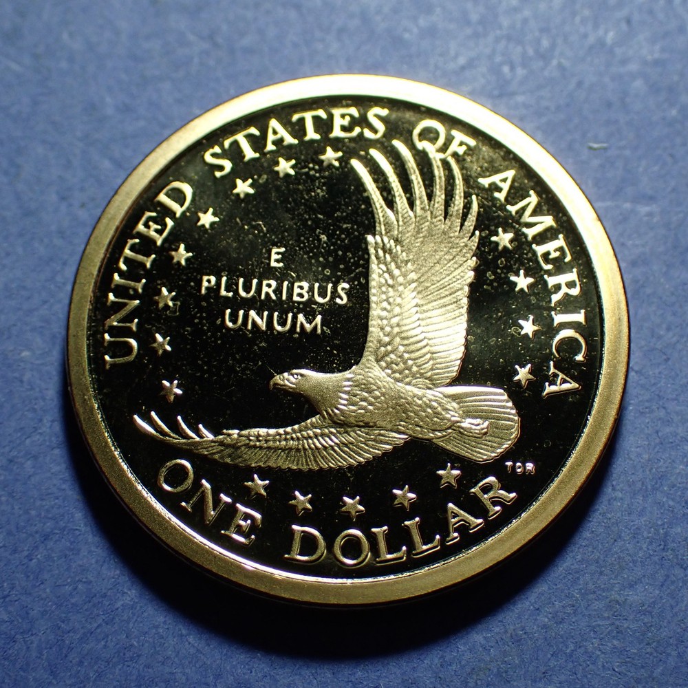 2007-S Proof Sacagawea Dollar Wholesale Read Description