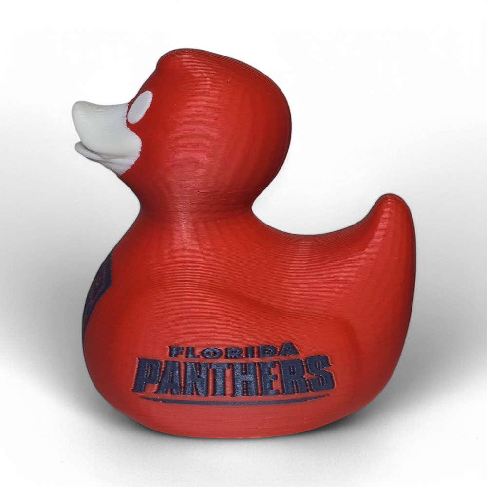 Florida Panthers Duck