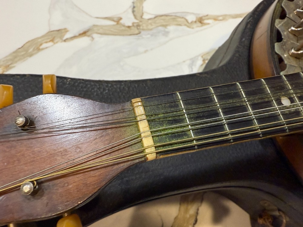 VEGA STYLE S 8 String Banjo