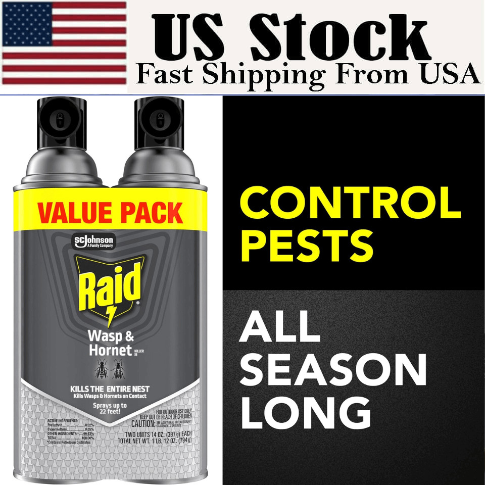 Raid Wasp & Hornet Killer Spray Bug Killer 14 Oz Pack of 2