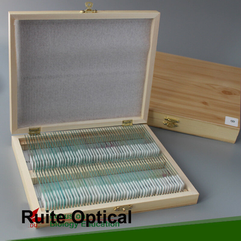 Wooden Microscope Slide Box Rectangle Hold Cabinet Slides Holder Case Storage