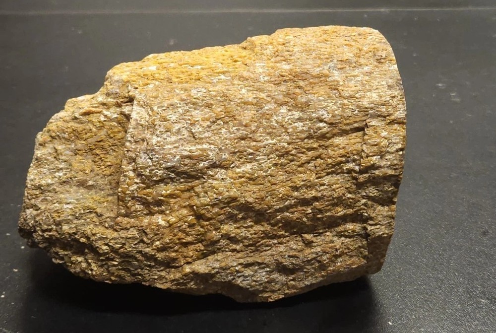 Colorado Gem Bone