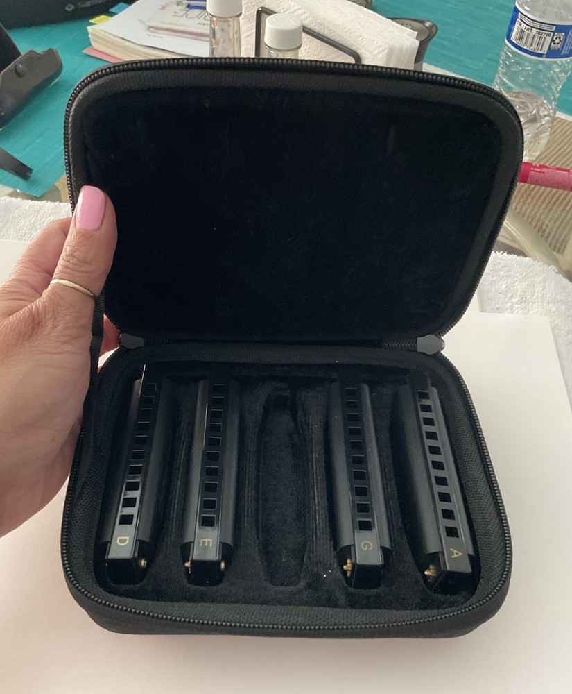 Roadhouse Blues Hohner Harmonica Set