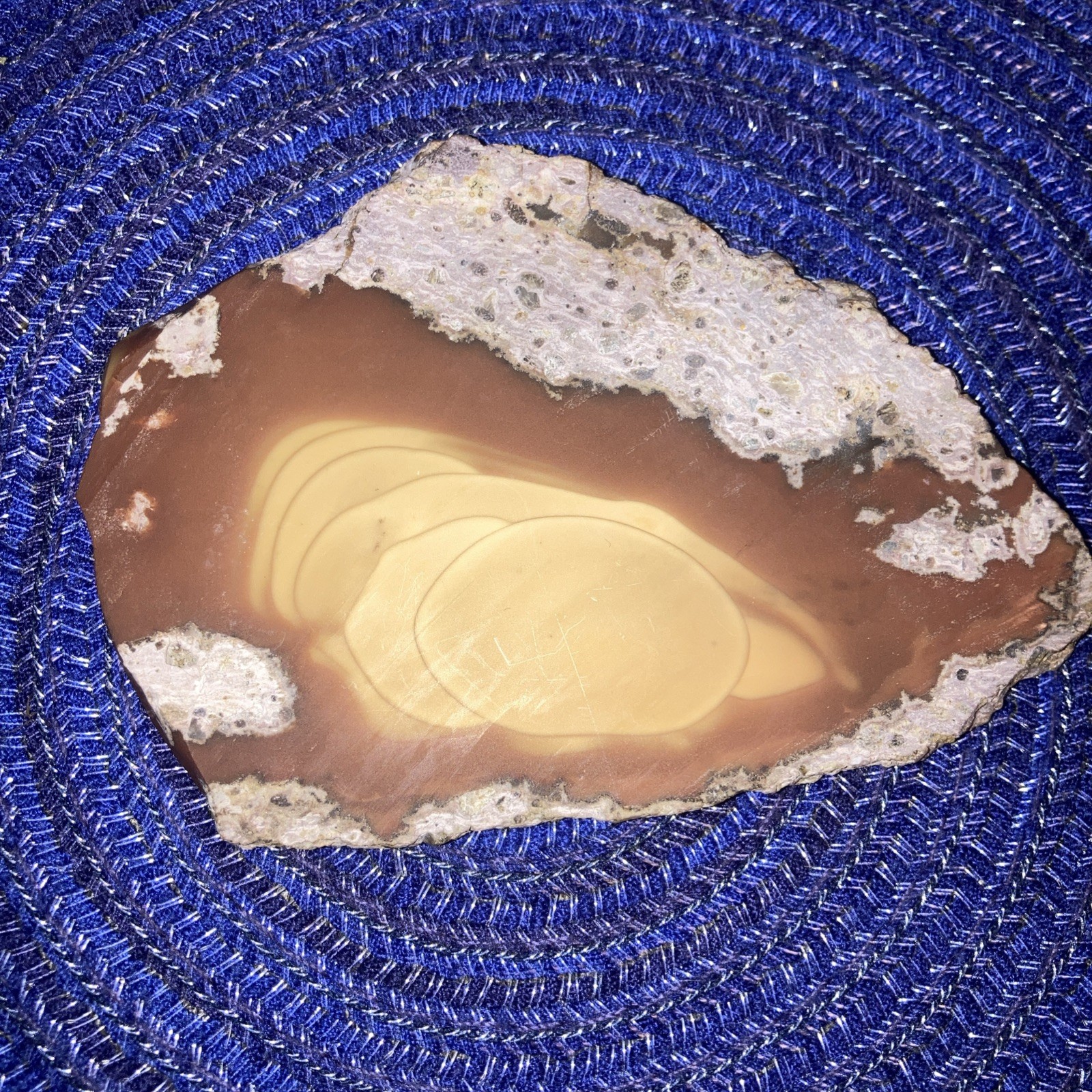 Bruneau Jasper Slab- 2.4oz/68g Not Polished Lapidary Slab With Beautiful Orbs