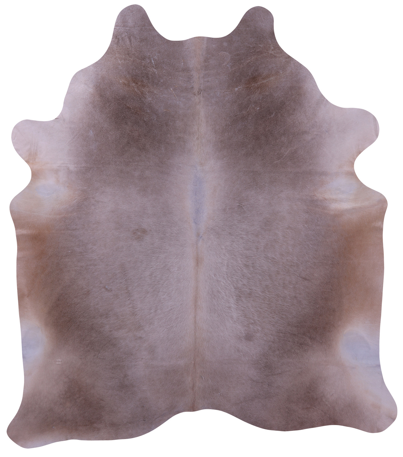 SUPER SALE Champagne Natural Cowhide Rug - XX-Large 8' 4"H x 7' 4"W