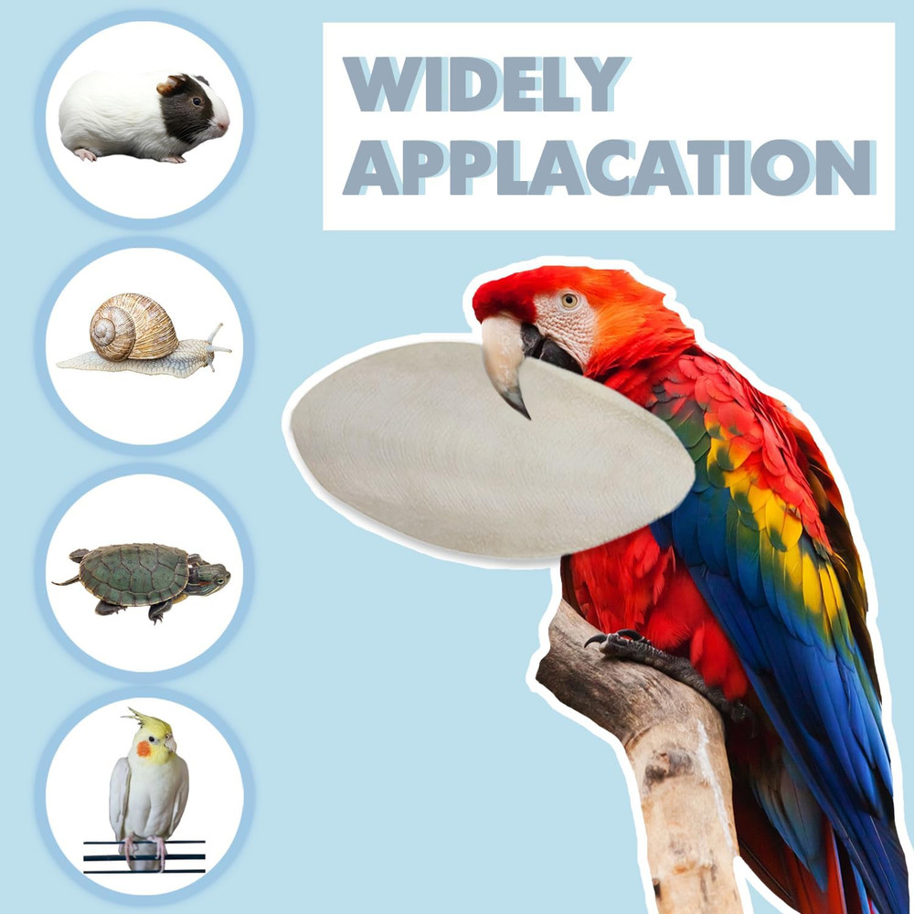 3.5"-4" Cuttlebone for Birds Parakeets, Cuddle Bone with Metal Clip, Cuttlefish