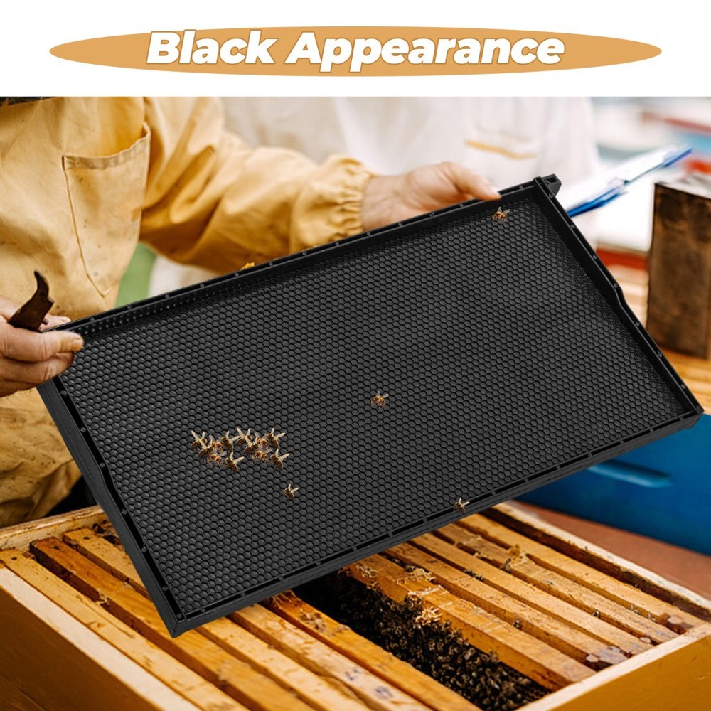 Integrated Plastic Beehive Frame with Nest Foundation for Beekeeping Efficiency
