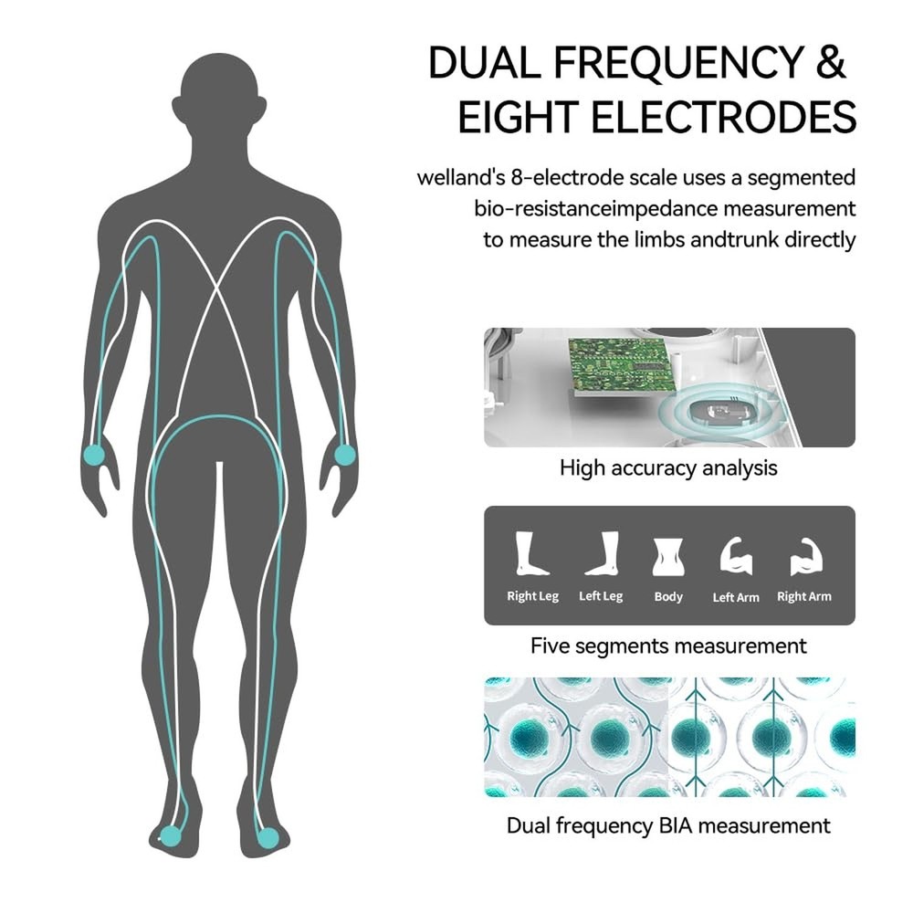 FITDAYS 8-Electrode Smart Scale: Full Body Composition Analyzer, 27 Metrics v...