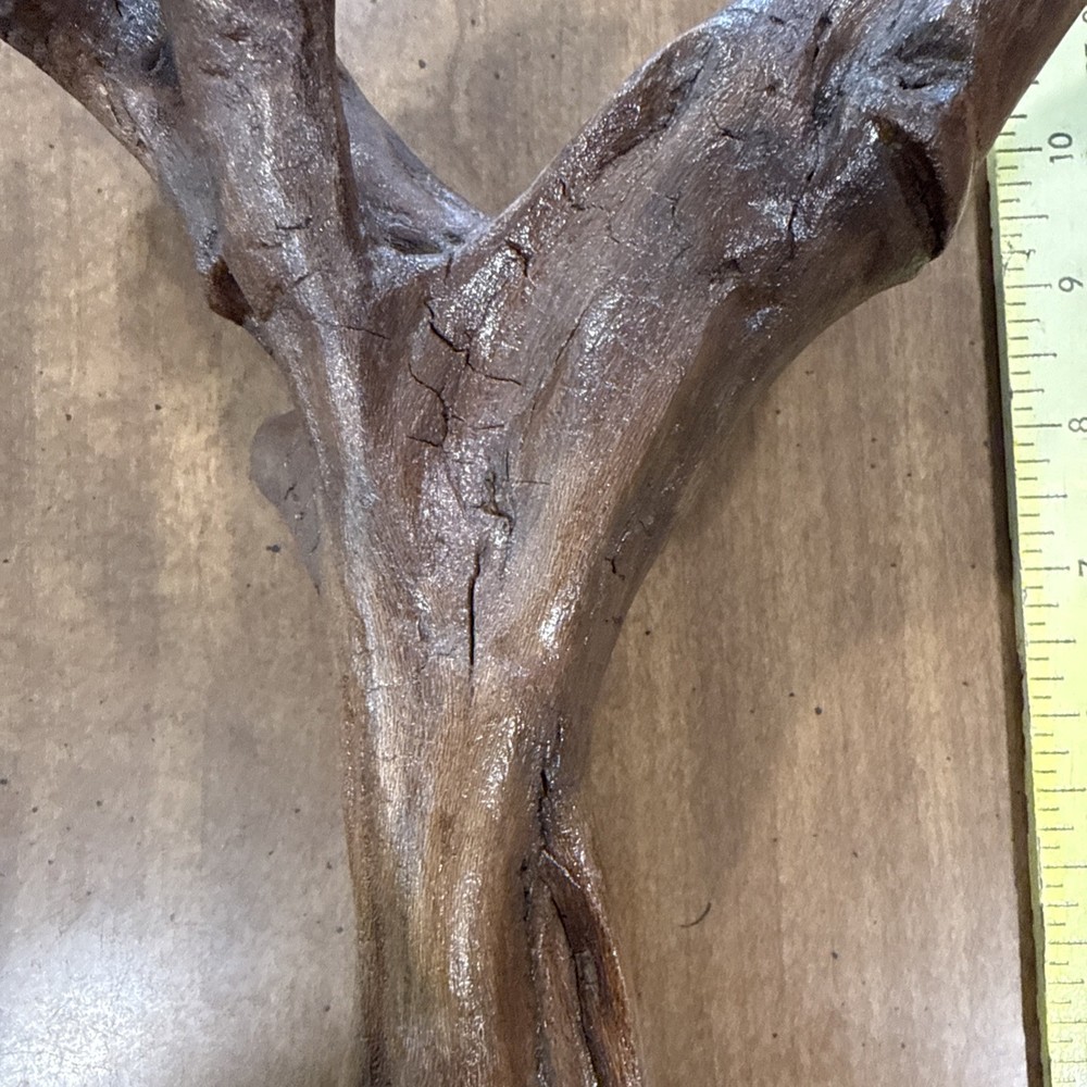 Driftwood Art Or Decoration
