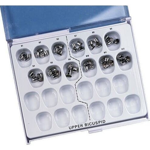 Bicuspid Stainless Steel Crowns, Upper Right, B7, 3/Pkg, SS-B07