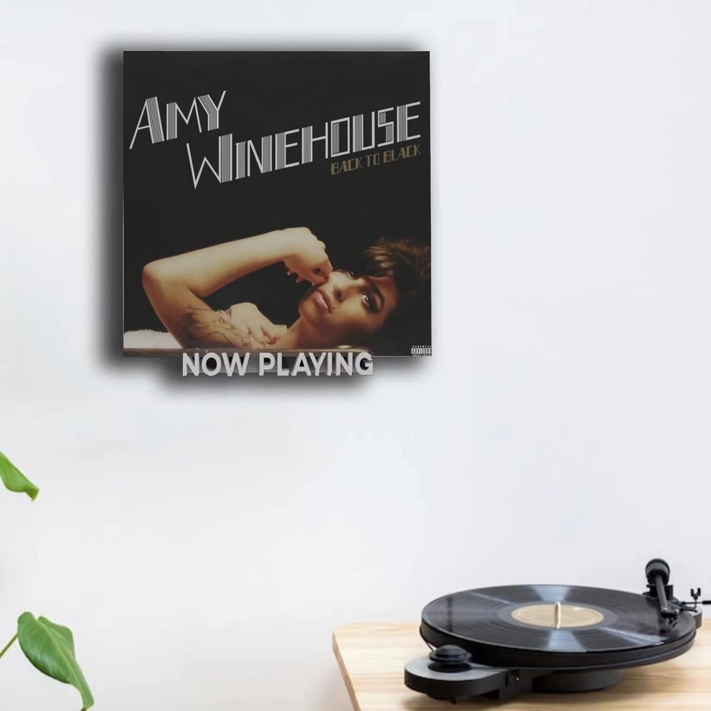 Now Playing Vinyl Record Stand，Vinyl Record Holder Wall Mount ，Multiple