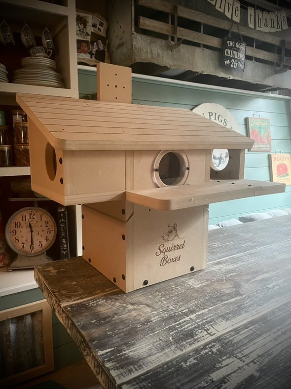 Squirrel Nesting Box