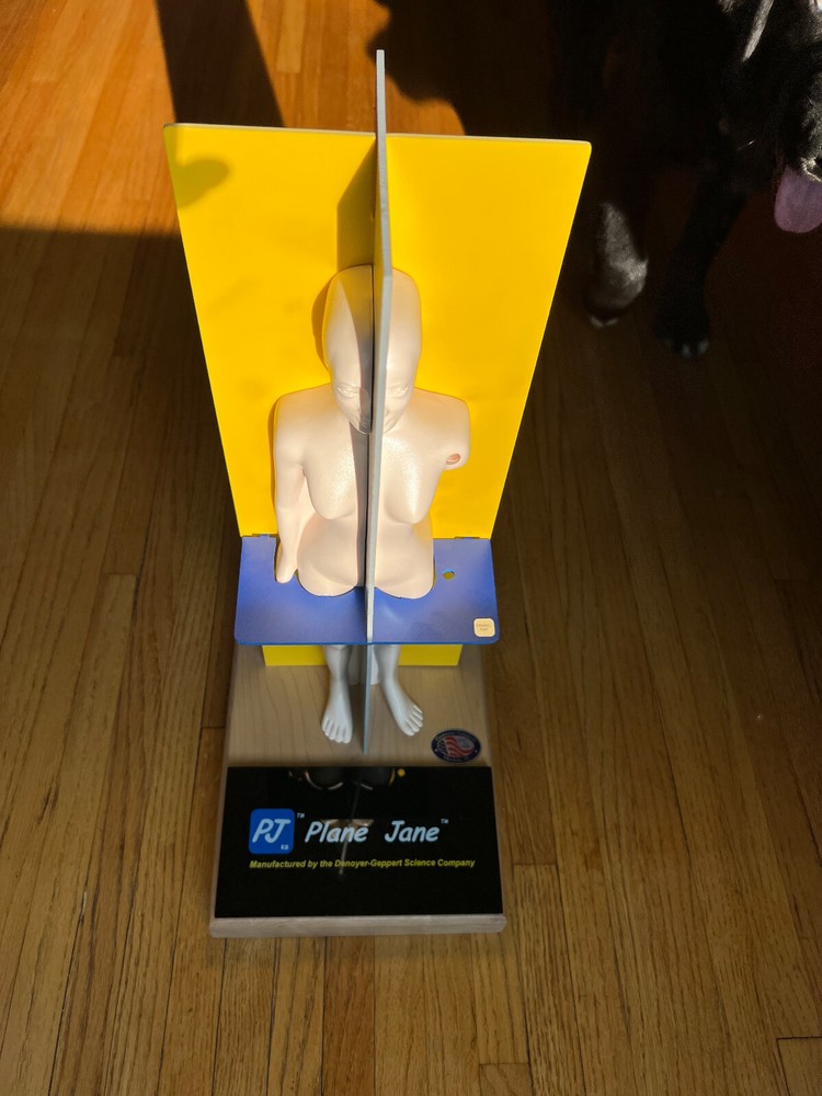 Denoyer-Geppert 0799-00 Plane Jane Complete Learning Package