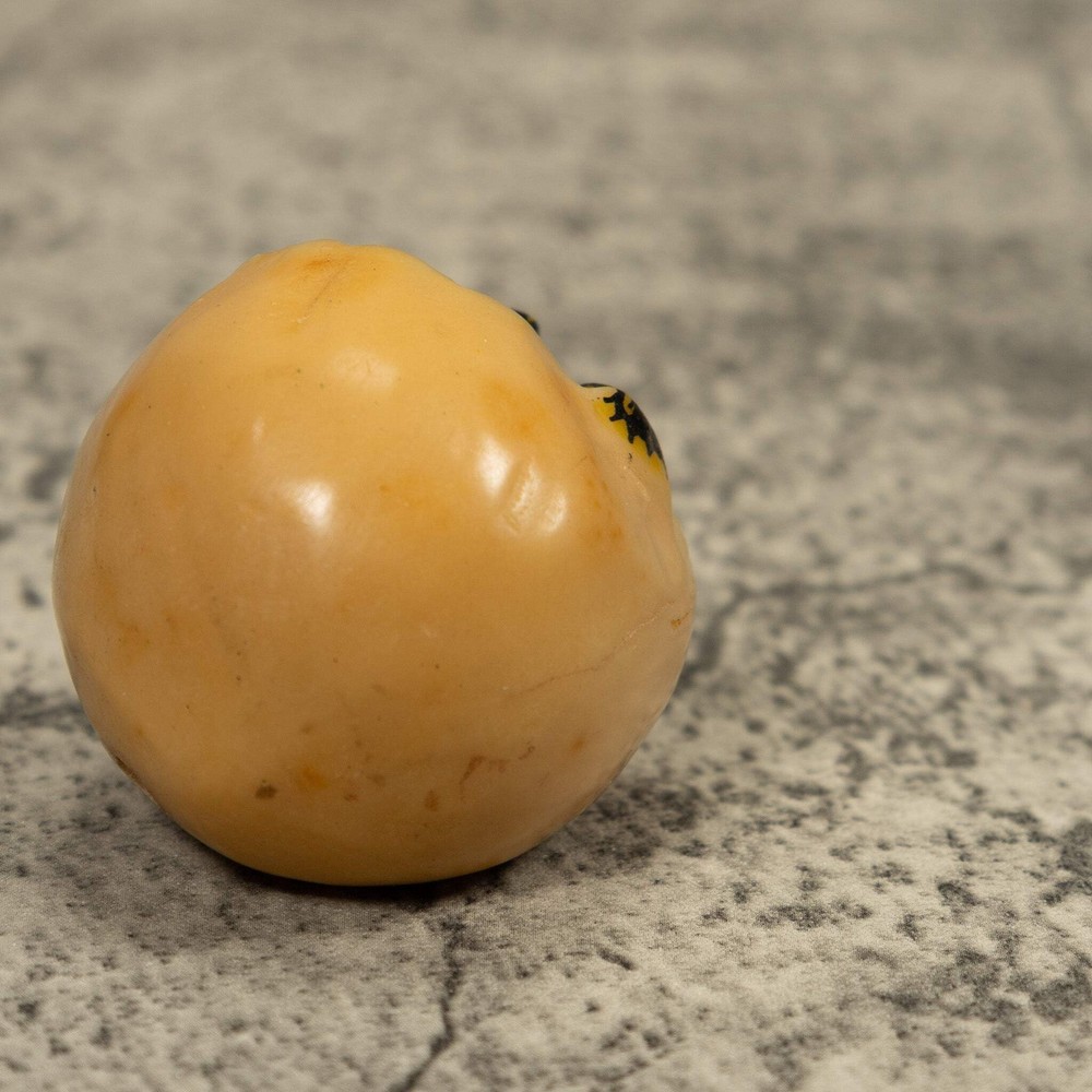 Turtle And Egg Tagua Carving